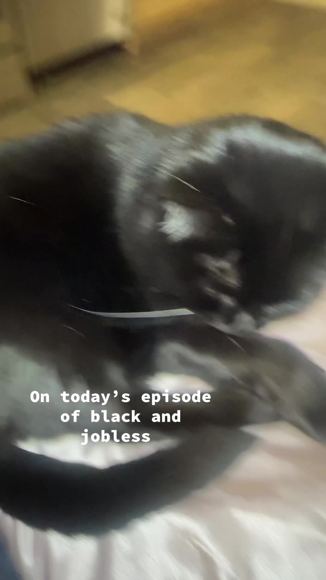 @Kiki
