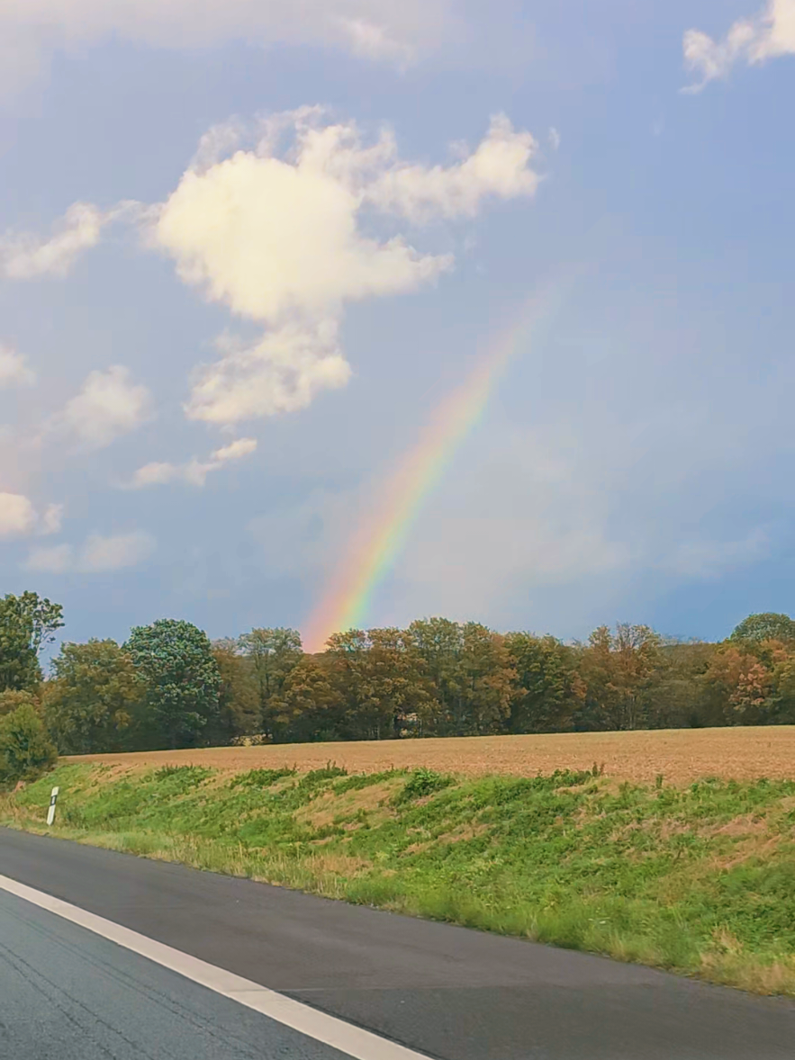 @TheLastRomantic🇵🇱🇩🇪