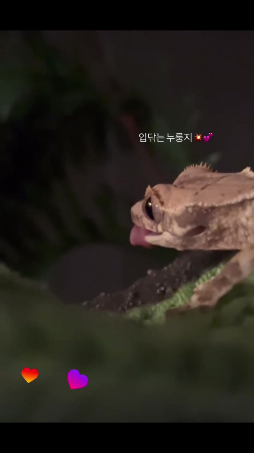 @흑임자누룽지