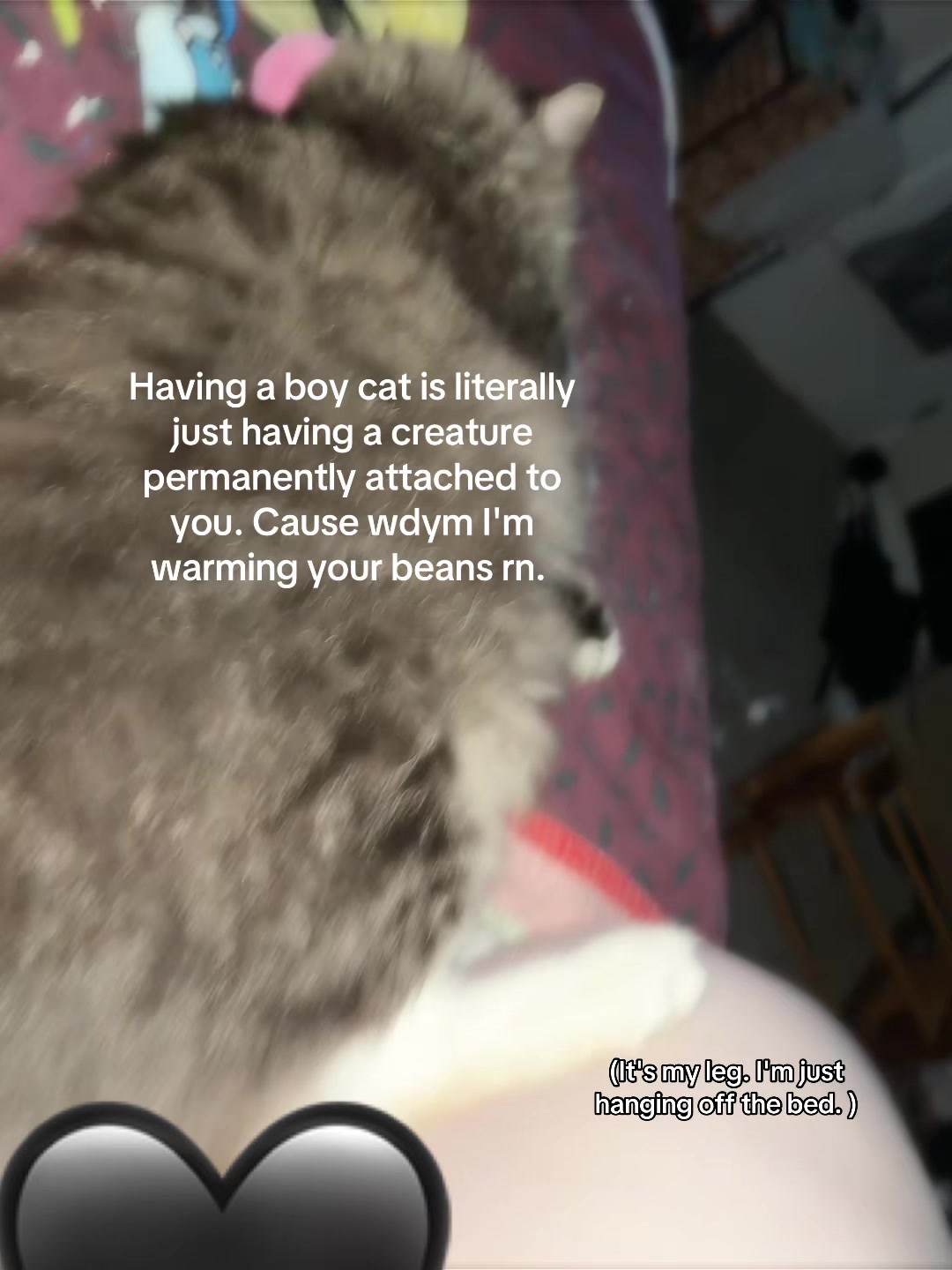@Spookykittykat27