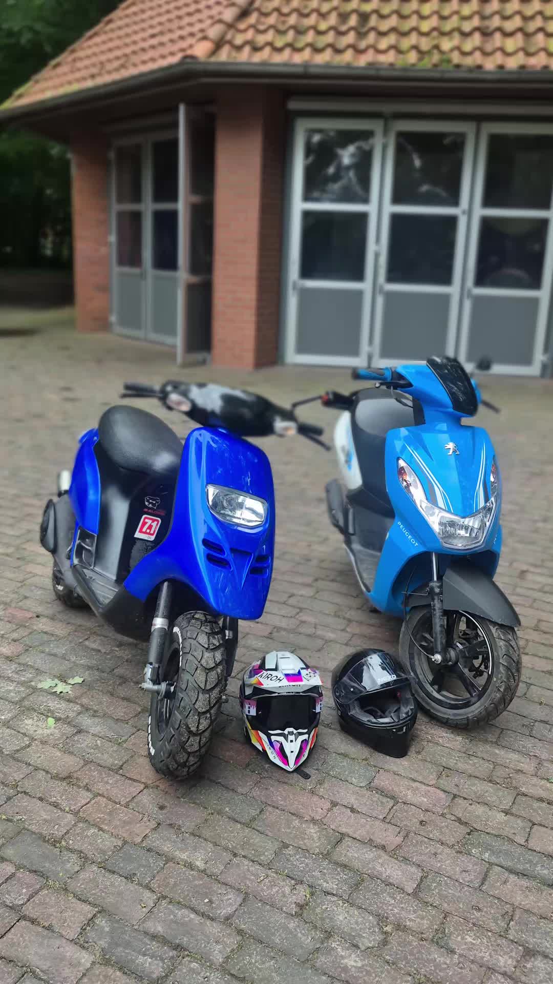 @MarcoOnMaxi🥝