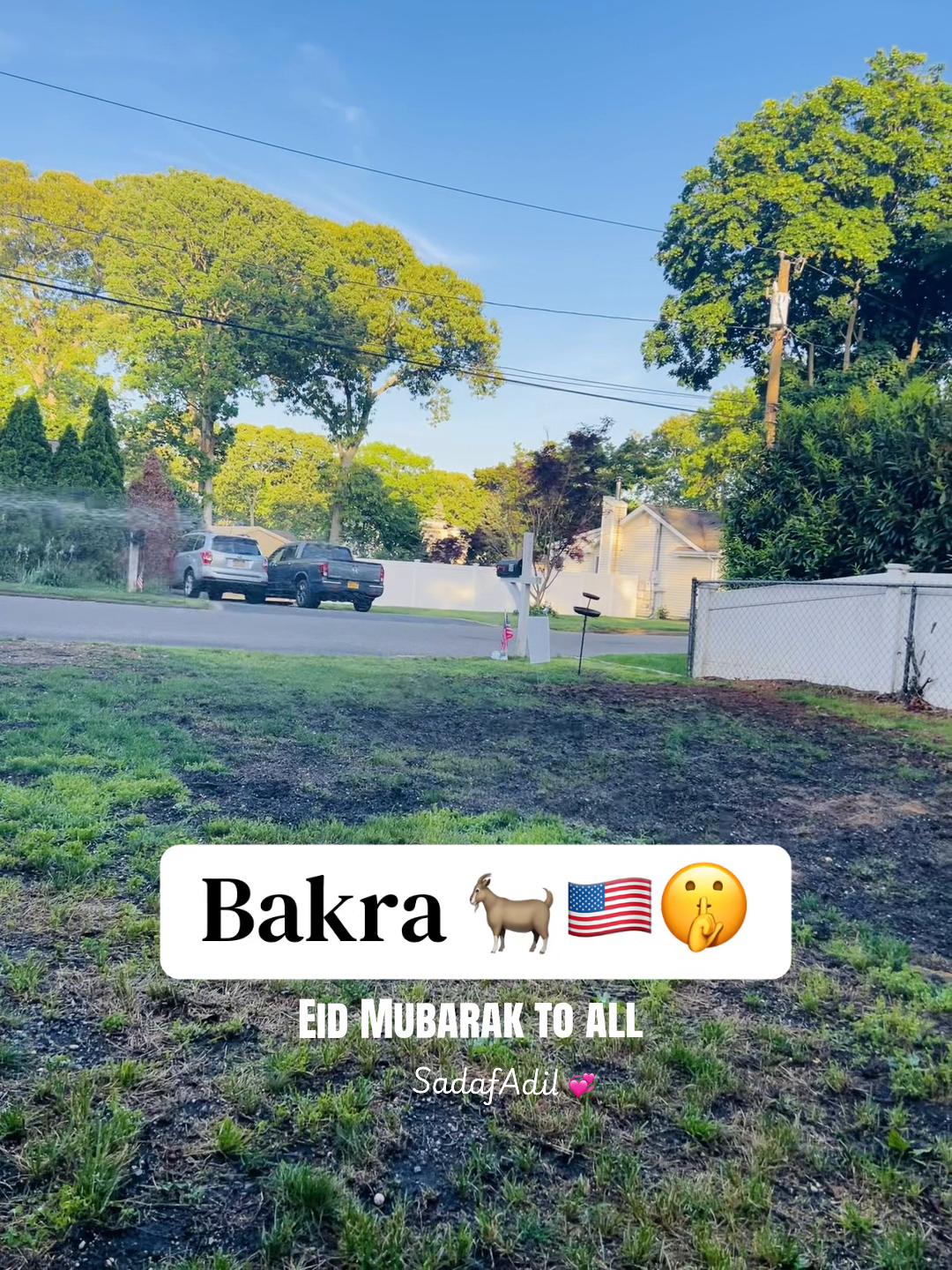 @sadaf_adil🇺🇸