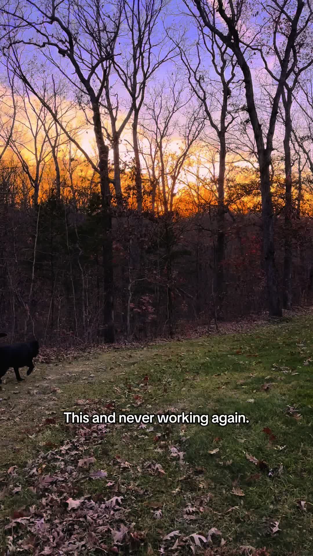 @Cozy House In The Woods