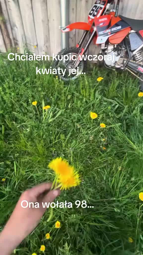@mikolajv7