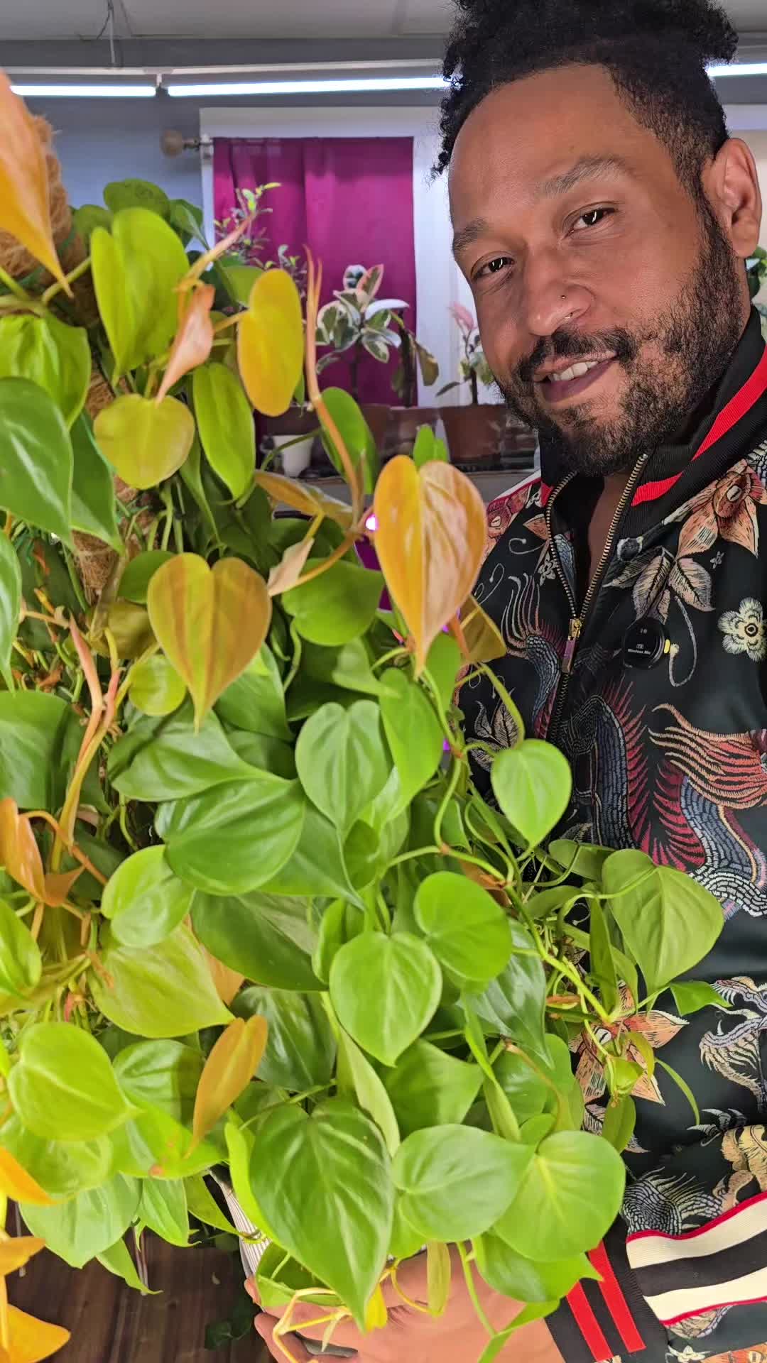 @JT - BigEGOPlants