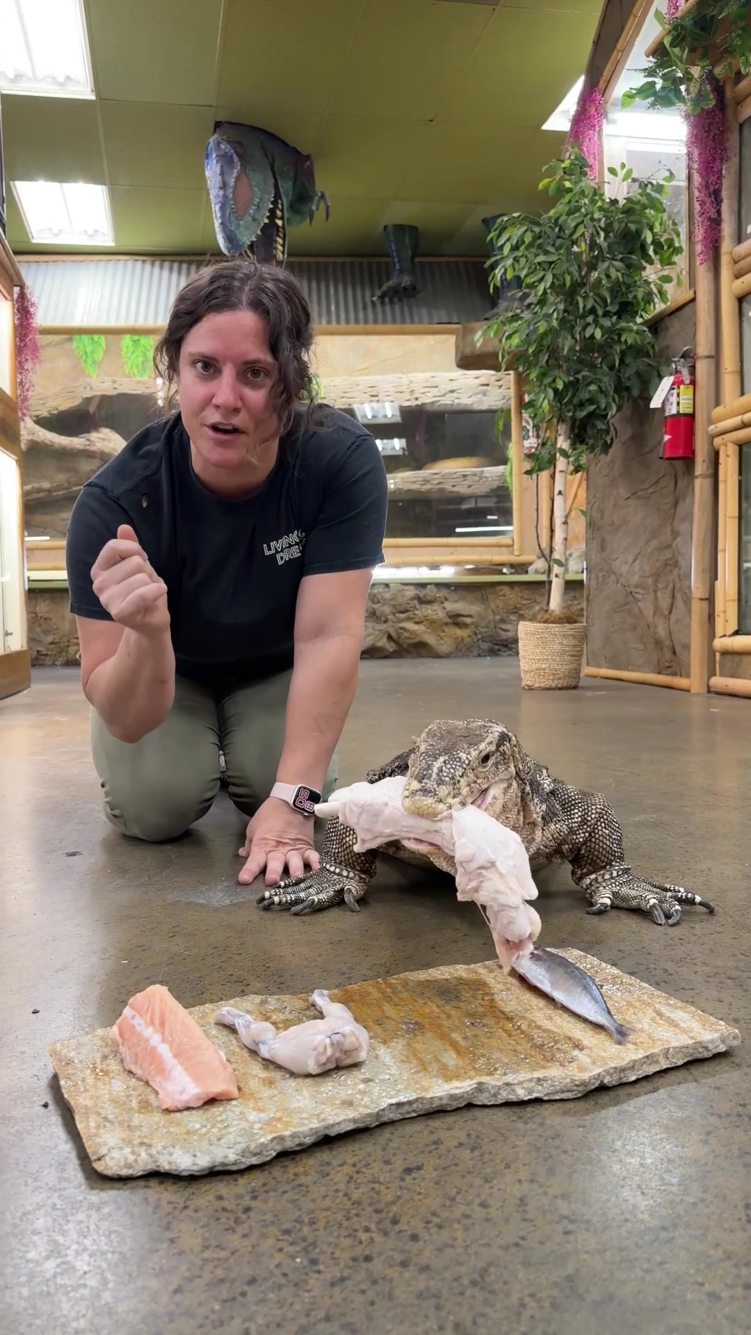 @The Reptile Zoo
