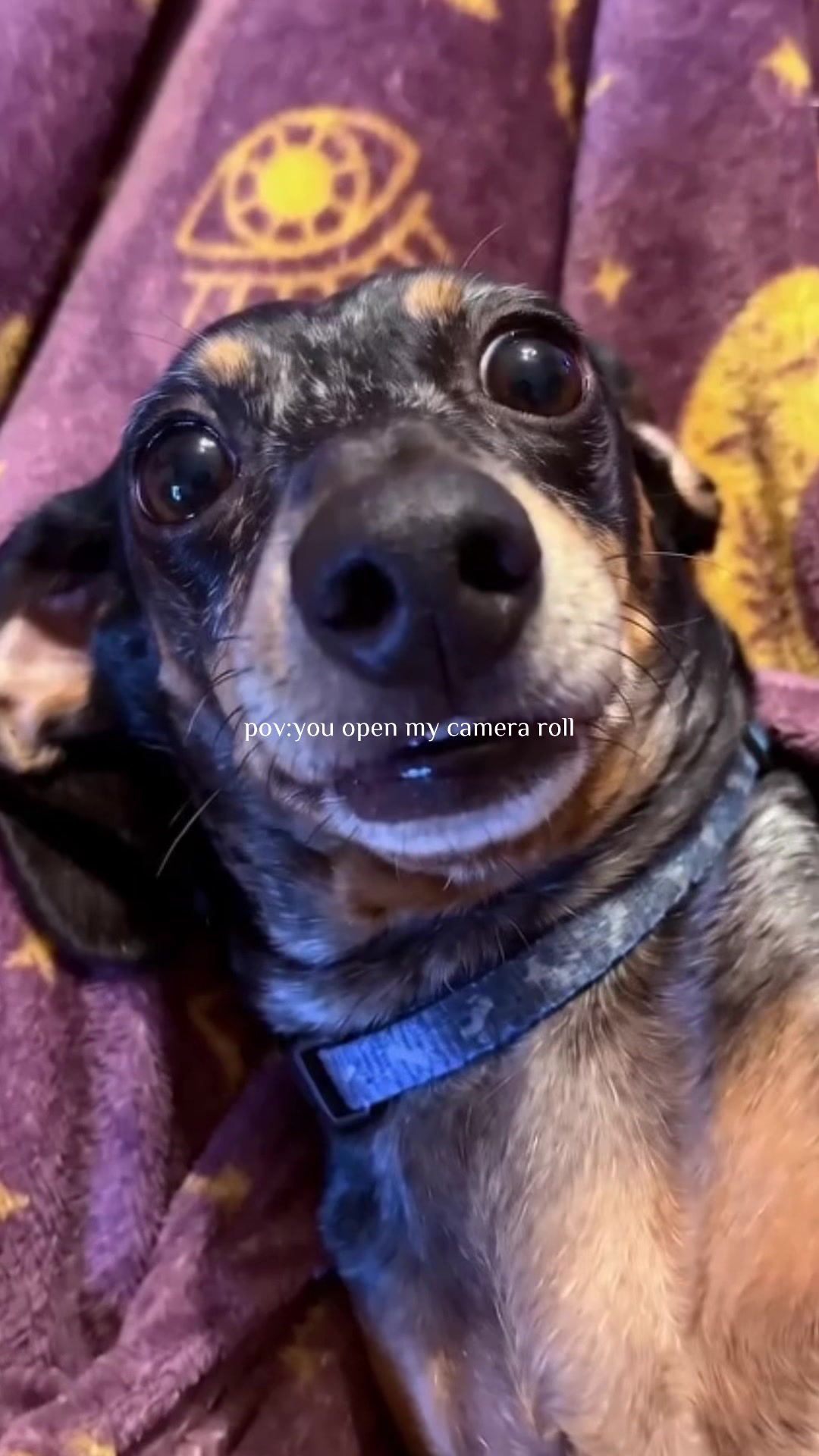 @DemonicXRoses