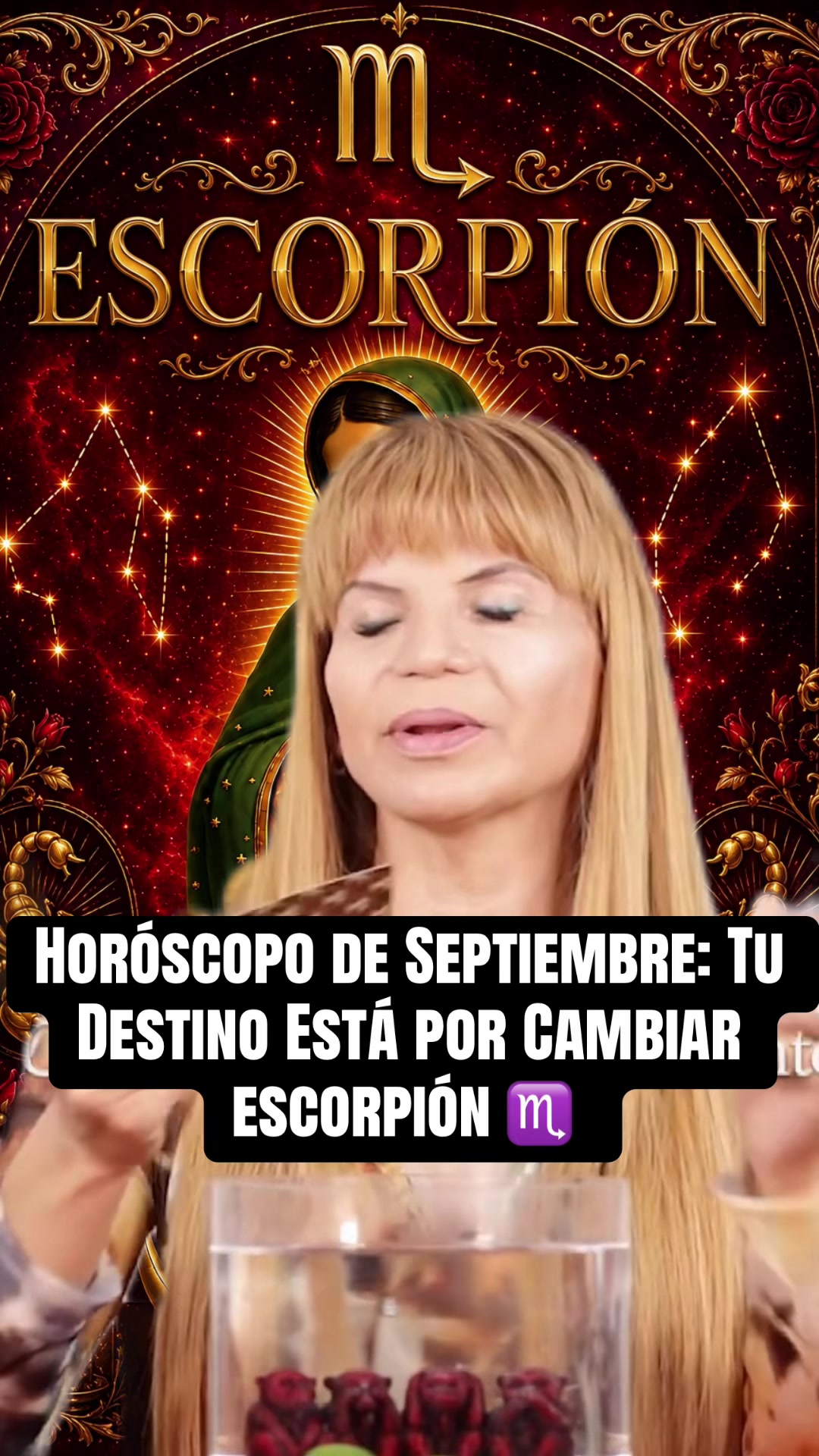 @✨ORÁCULO 13 ✨