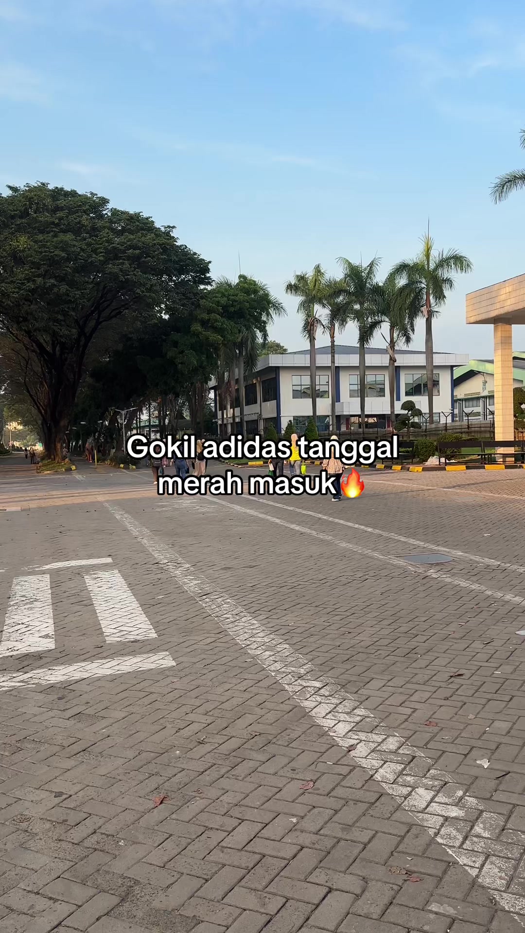 @D I K