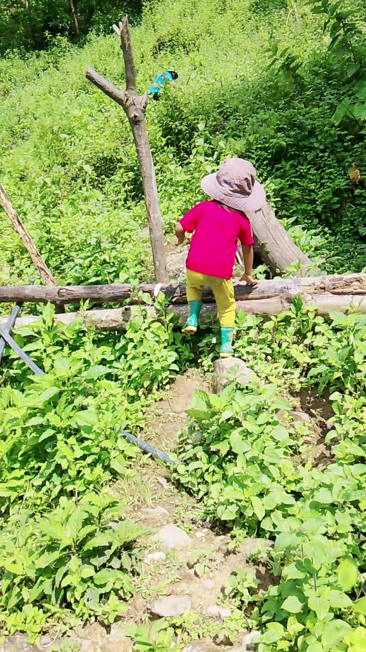 @devang8020