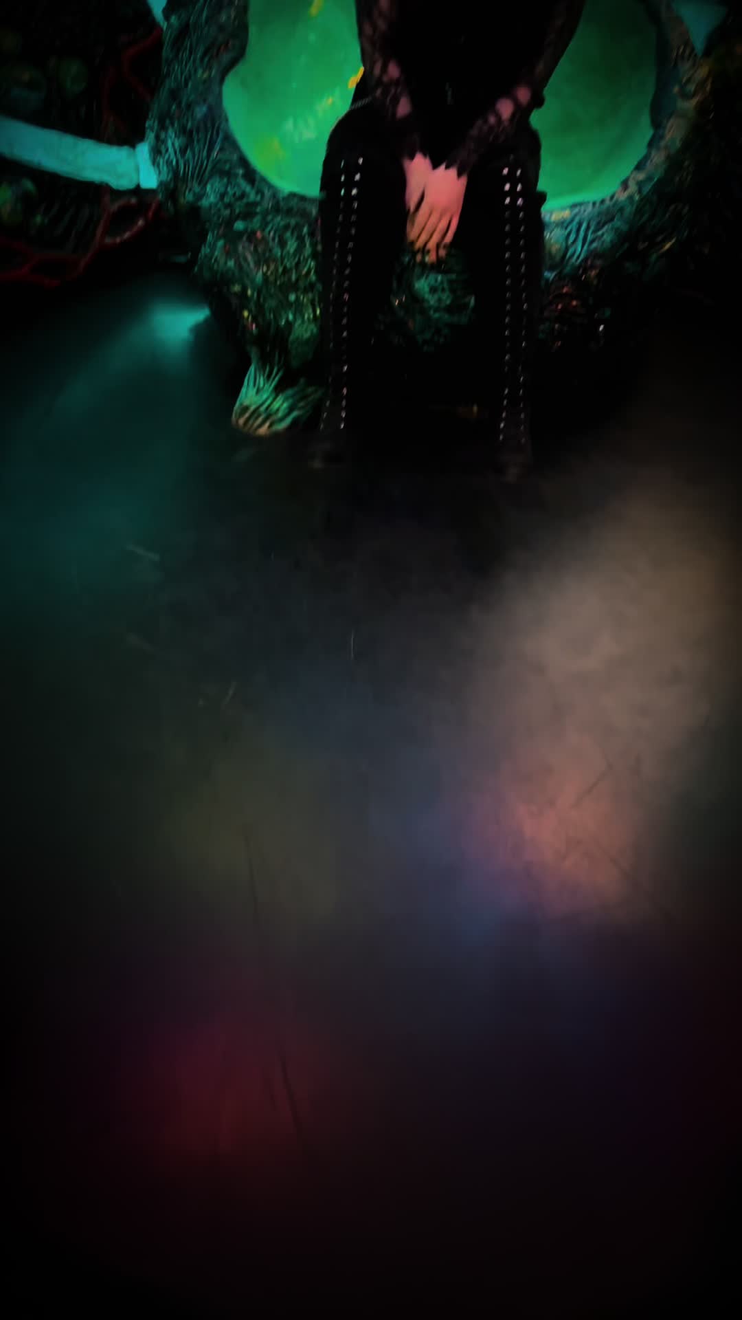 @spider_domain