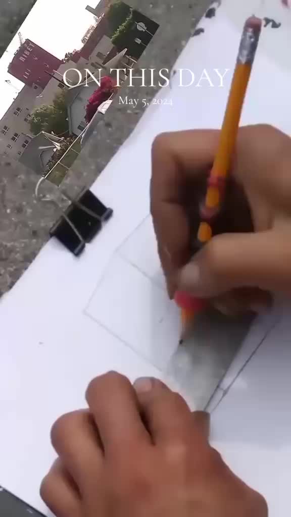 @AliFAFAtree🌴