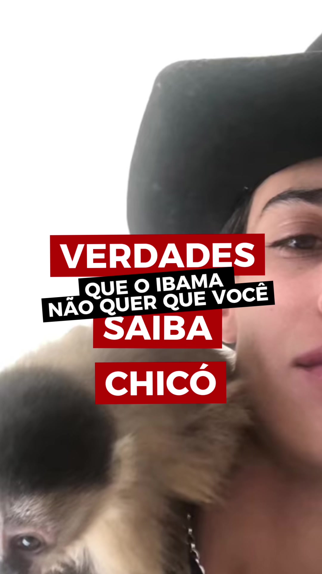 @Elisabete Silva
