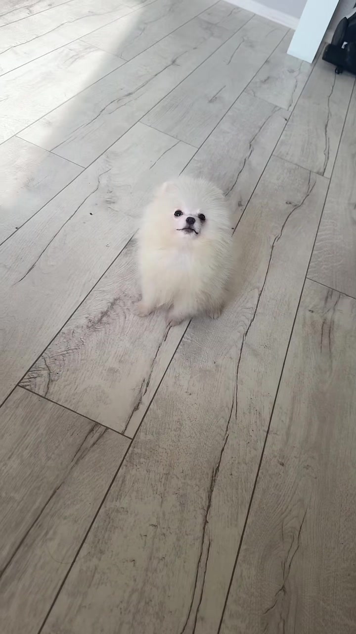 @𝓑𝓻𝓸𝓴𝓮𝓷 𝓗𝓮𝓪𝓻𝓽♡