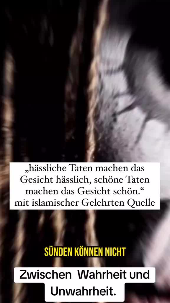 @botschaft_islam