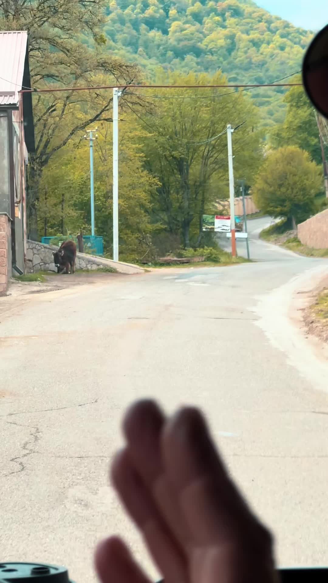 @СВЕТОЧ с ПОЯСА ОРИОНА