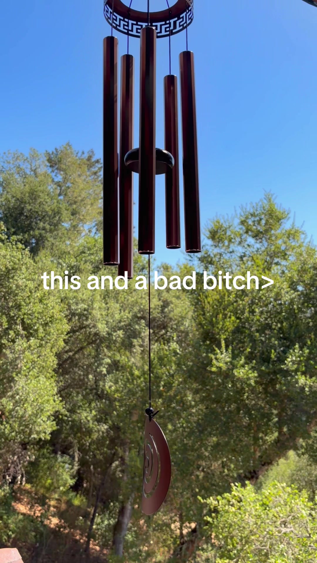 @Shart Rocket