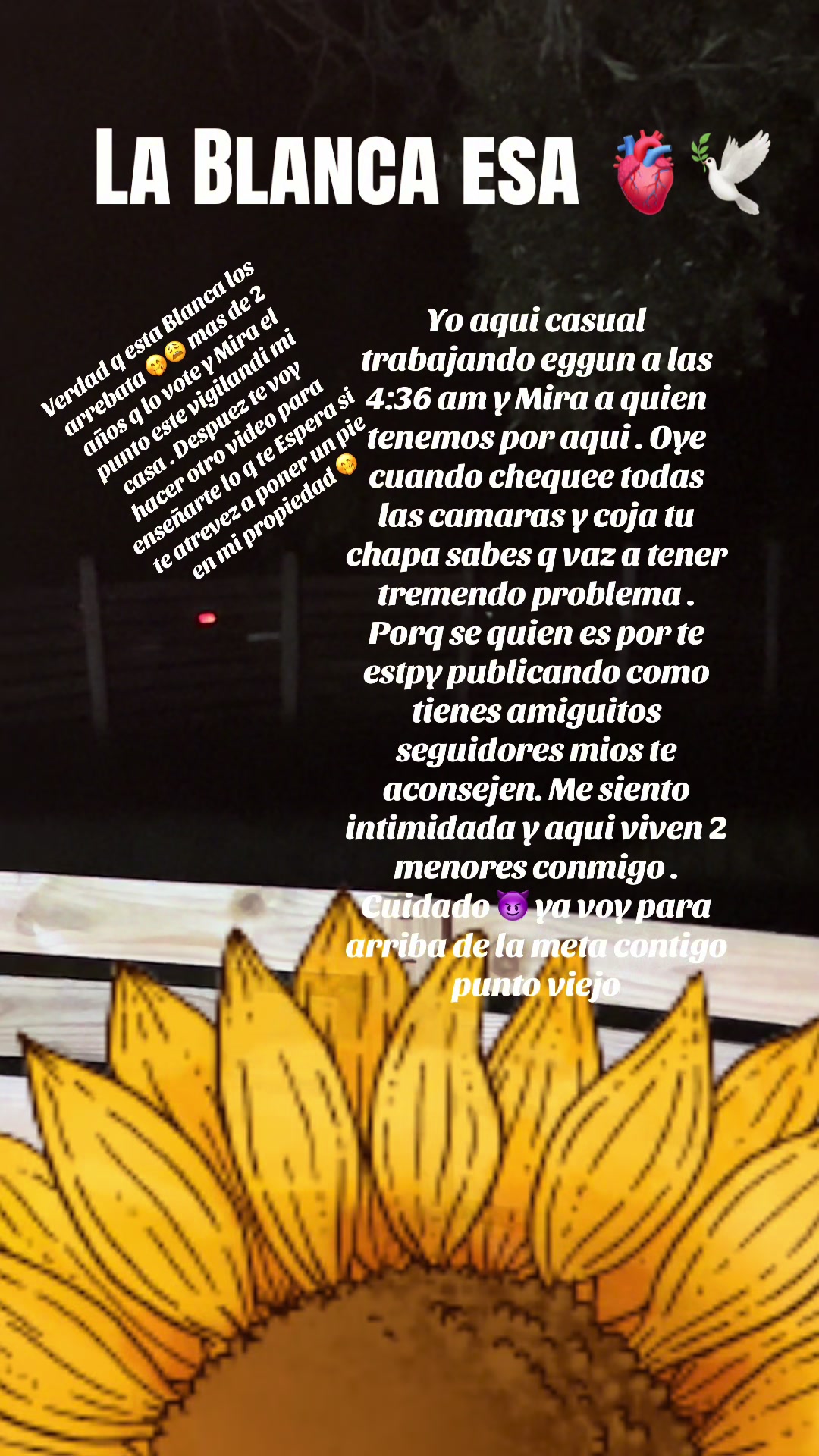 @Lacasadeeggun🤍🖤