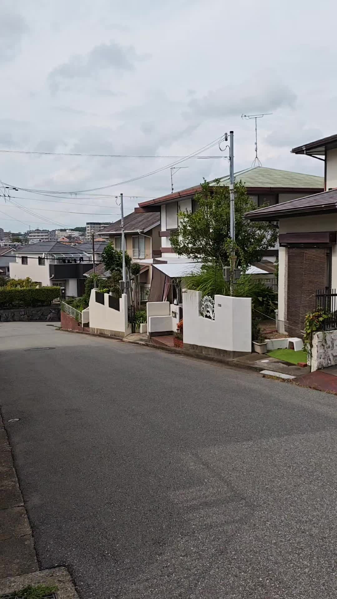 @在神户的弥罗君