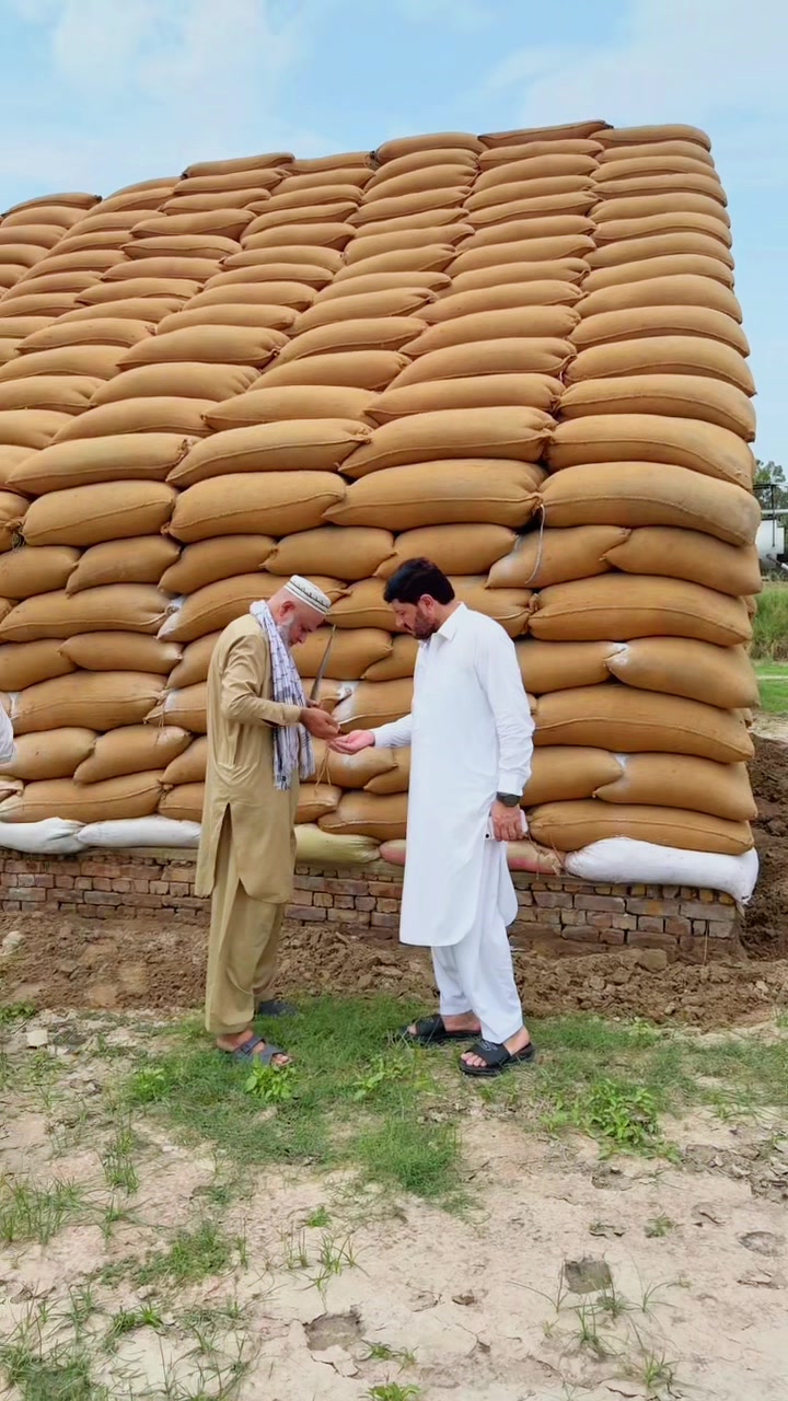 @sardarwalimuhmand