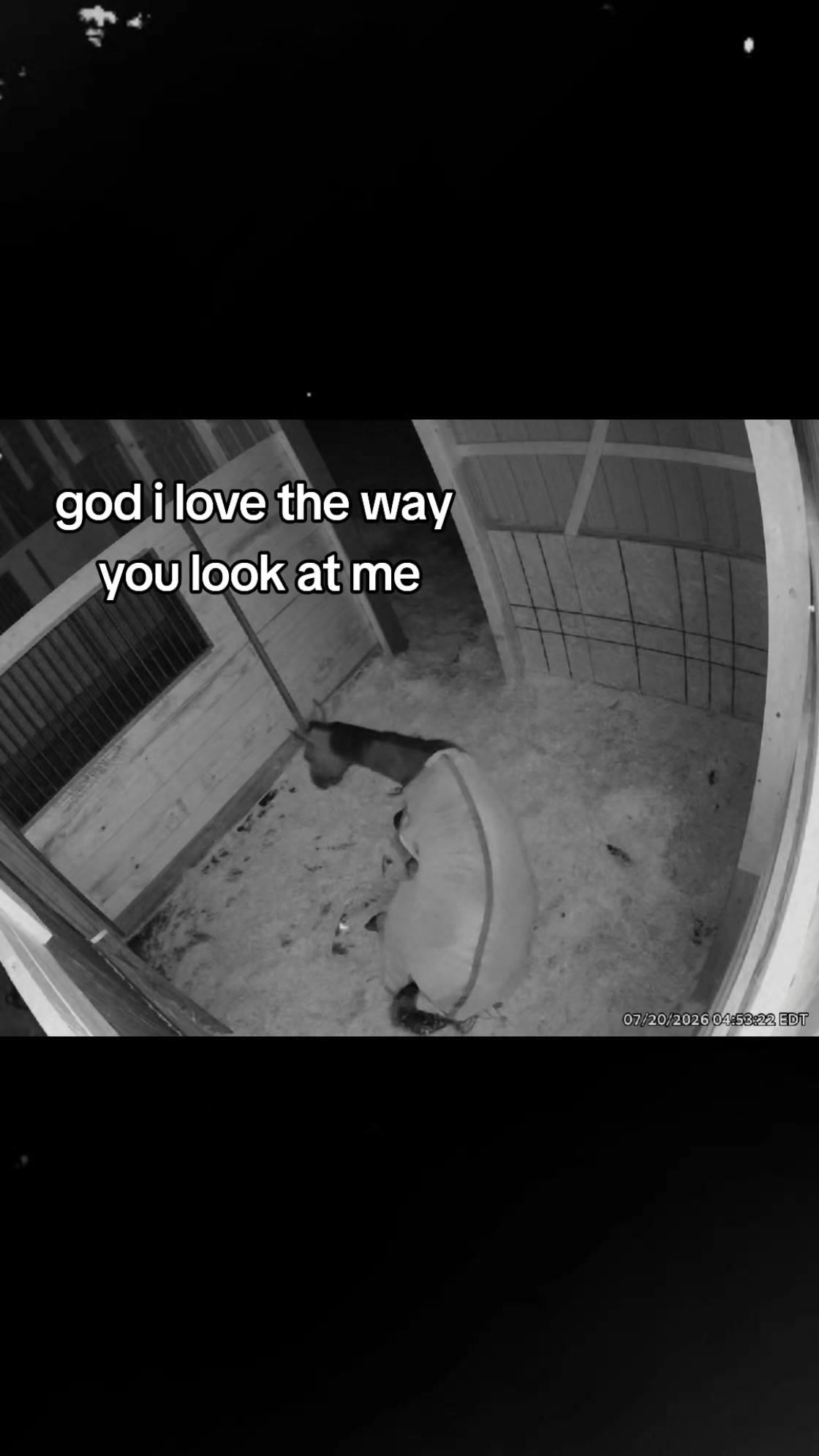 @MsGriff