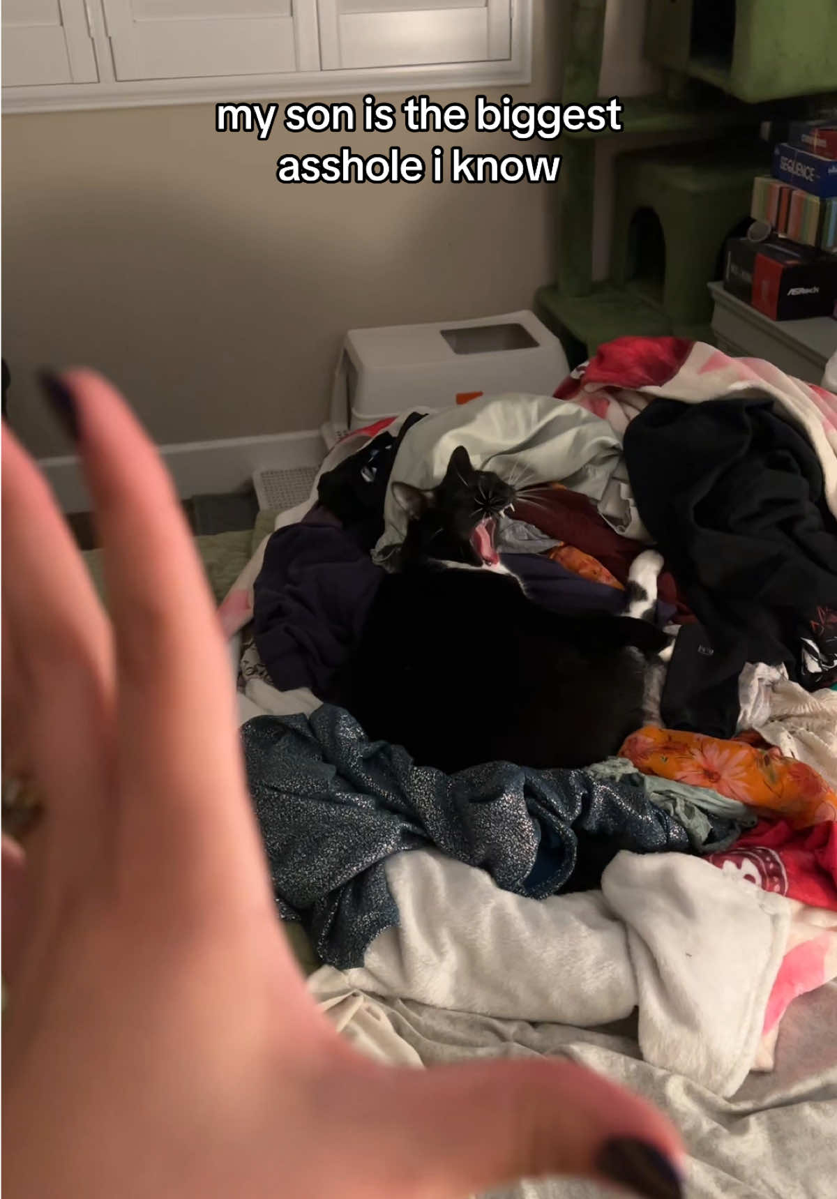 @avalisette