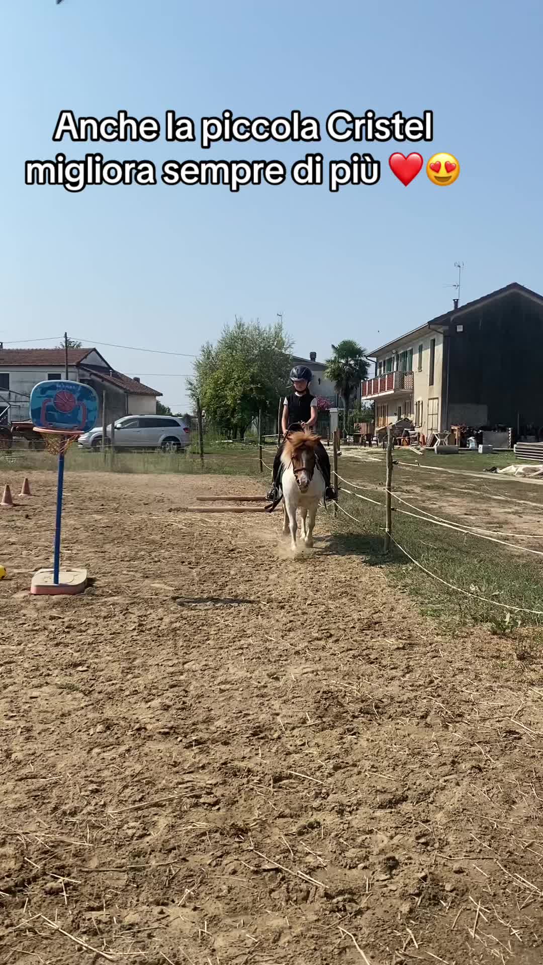 @Ponyclubilgattoelavolpe