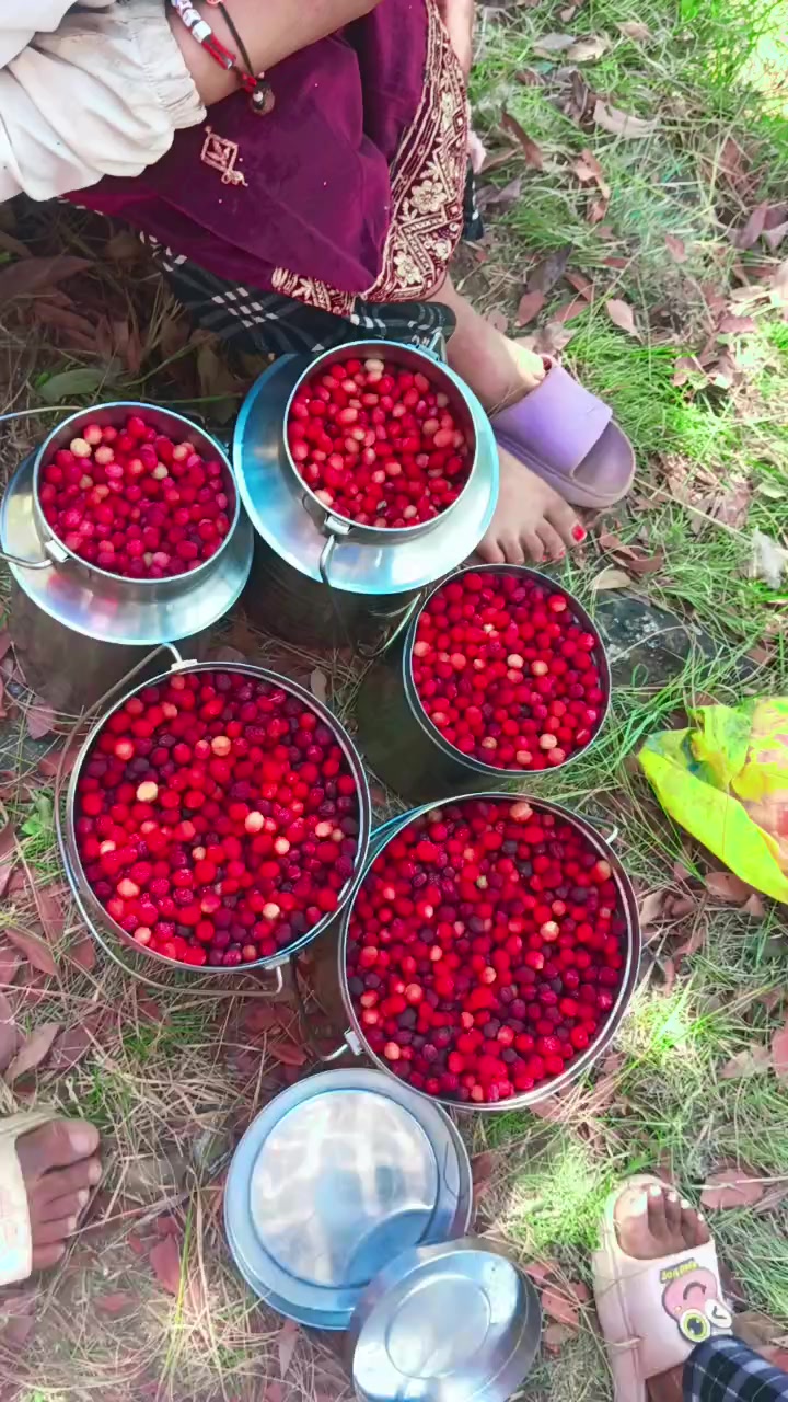 @Urmila sani