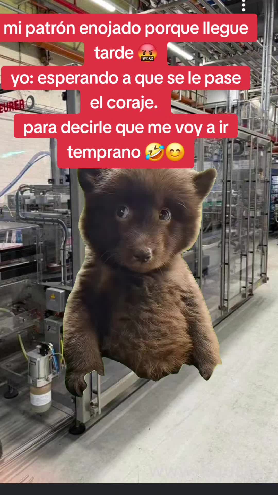 @🎶🎶vega&hearts;️⚽️