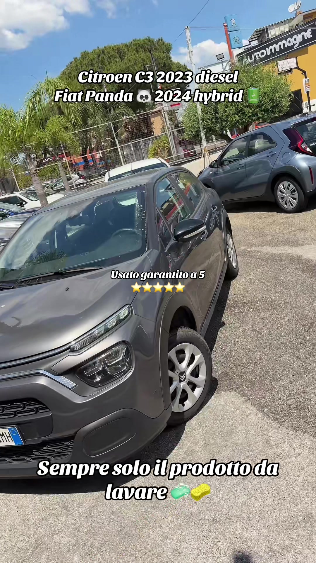 @AUTOIMMAGINE