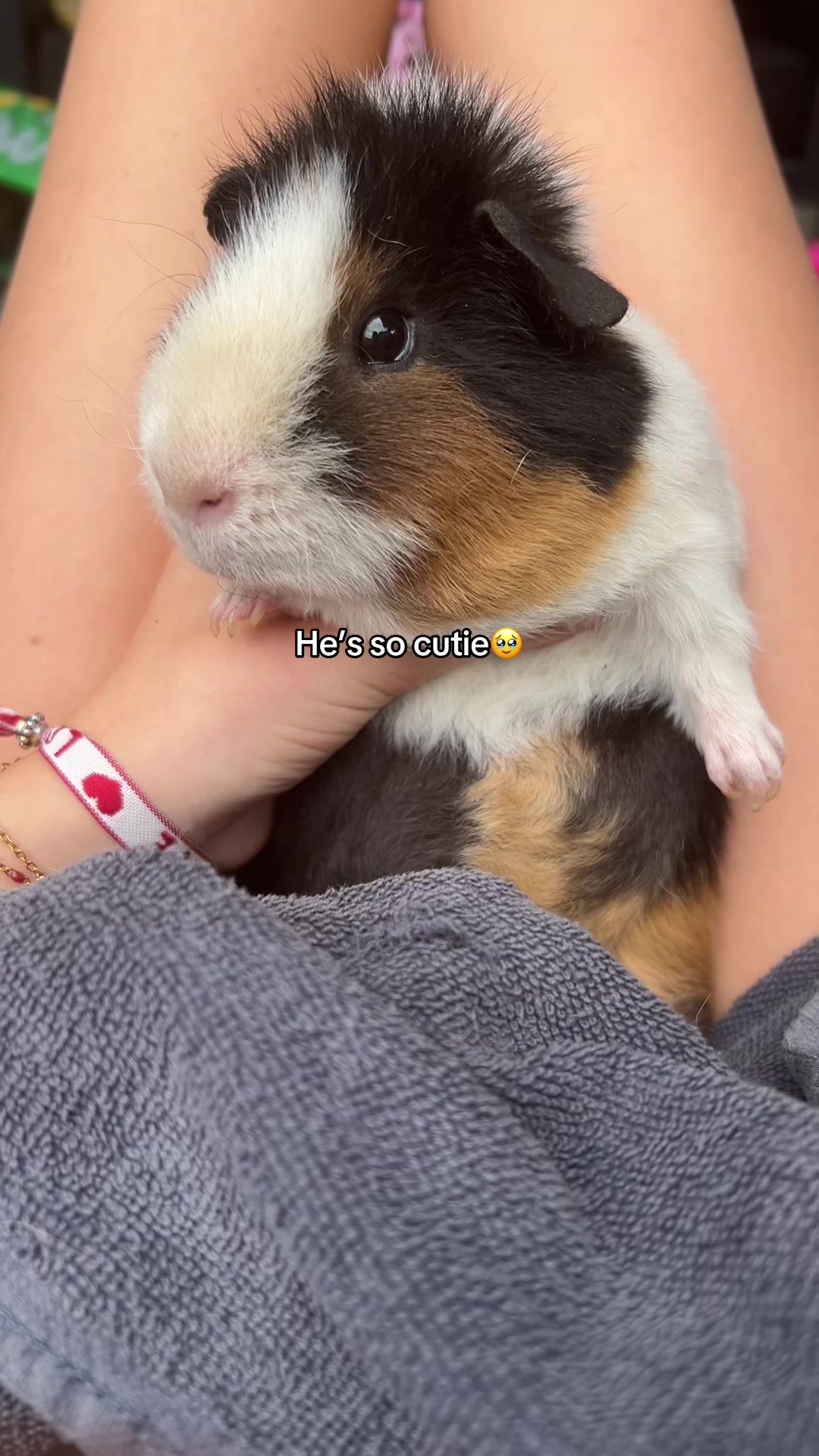 @𝓛+𝓥🐰🌸