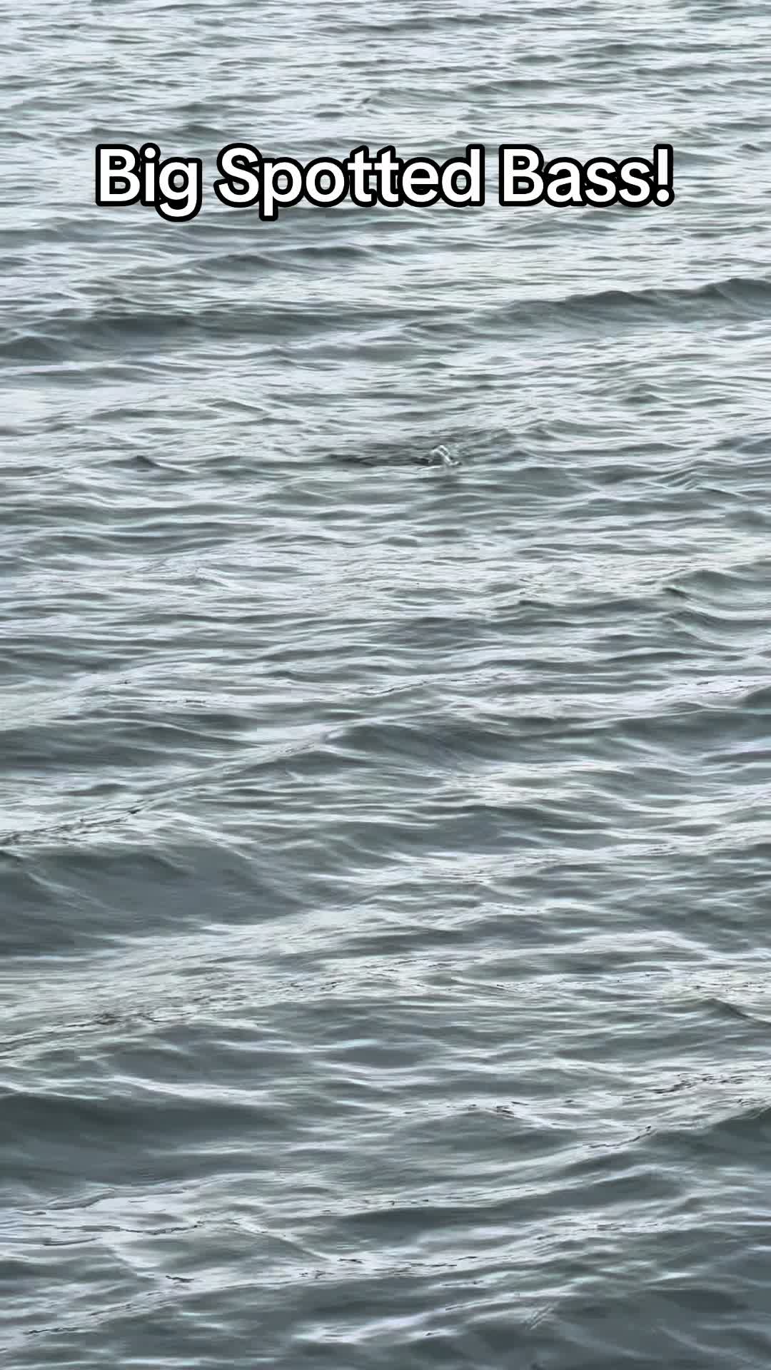 @evan_whitefishing