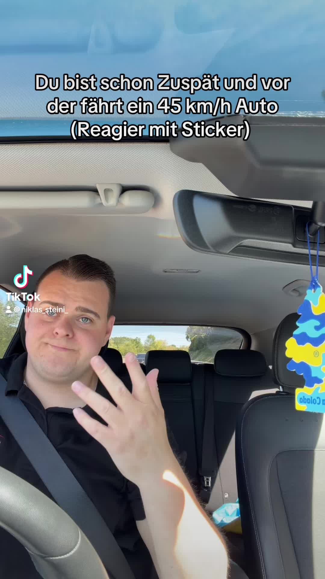 @niklas_steini