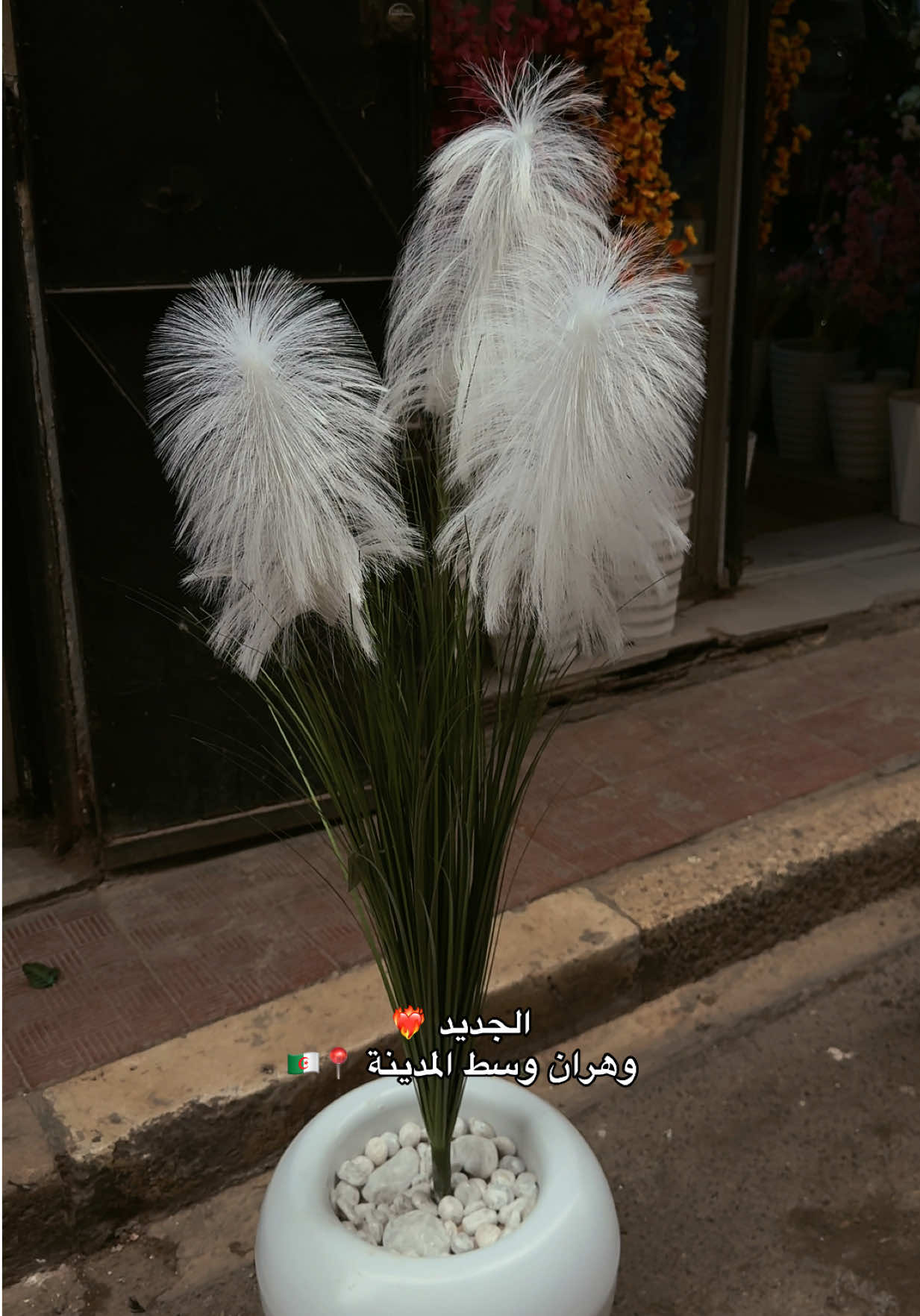 @Fleurs artificielles 🪷 oran