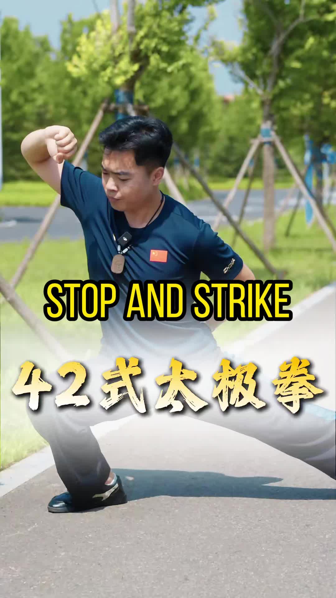 @taichituan