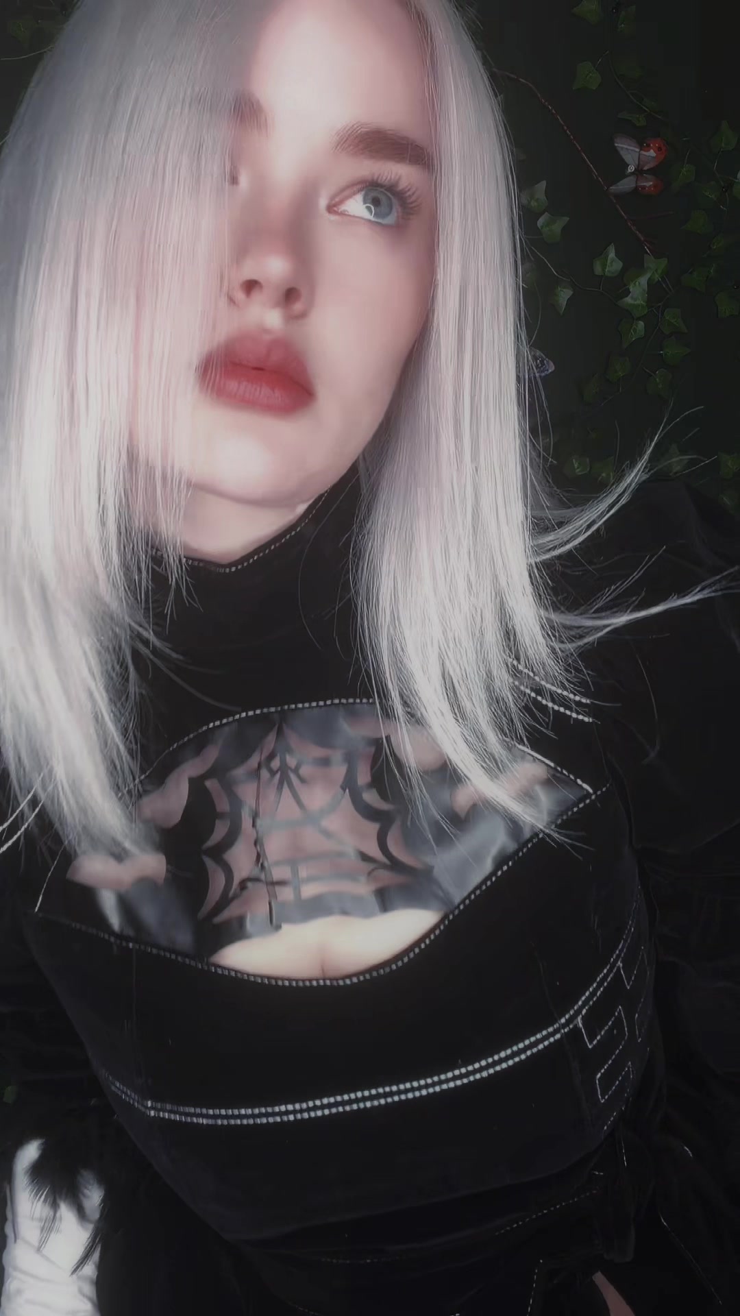 @𝔄𝔰𝔦𝔞 ✧ 𝔅𝔦𝔫𝔡𝔢𝔯𝔱