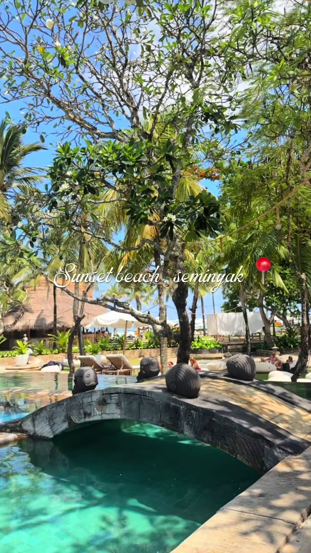 @Coconut🥥