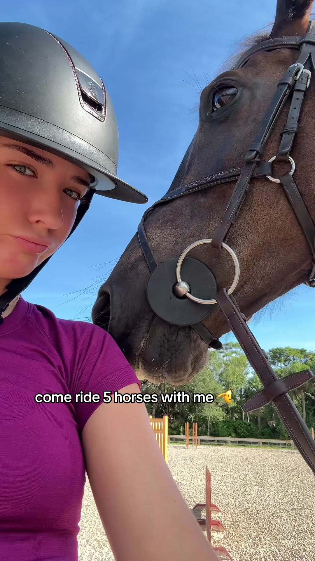 @hailee roy