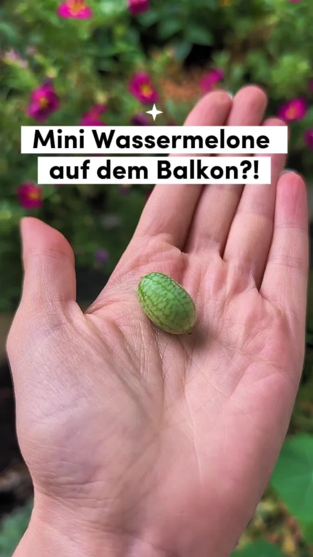 @ErnteExperte