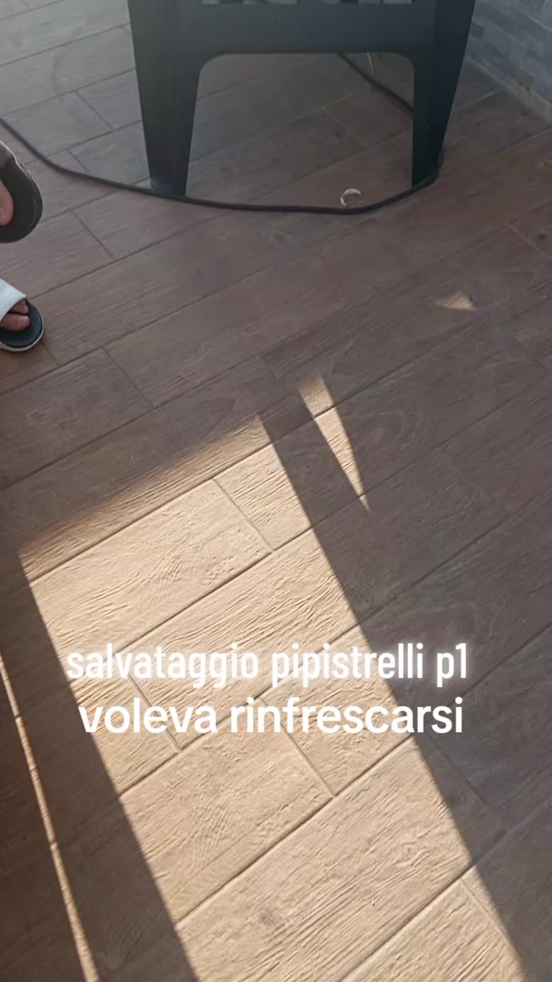 @Magic