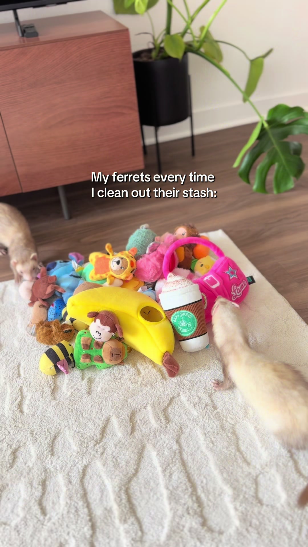 @Moon & Nala