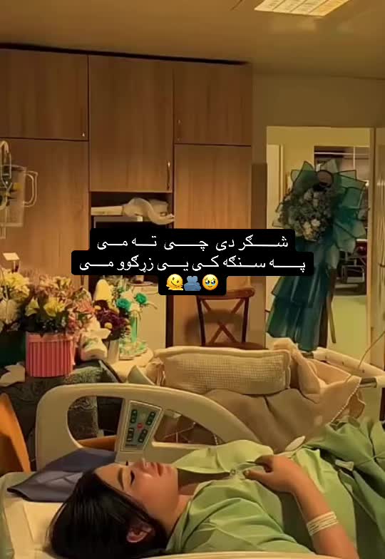 @𓆩حـــــــــــــــیاء𓆪