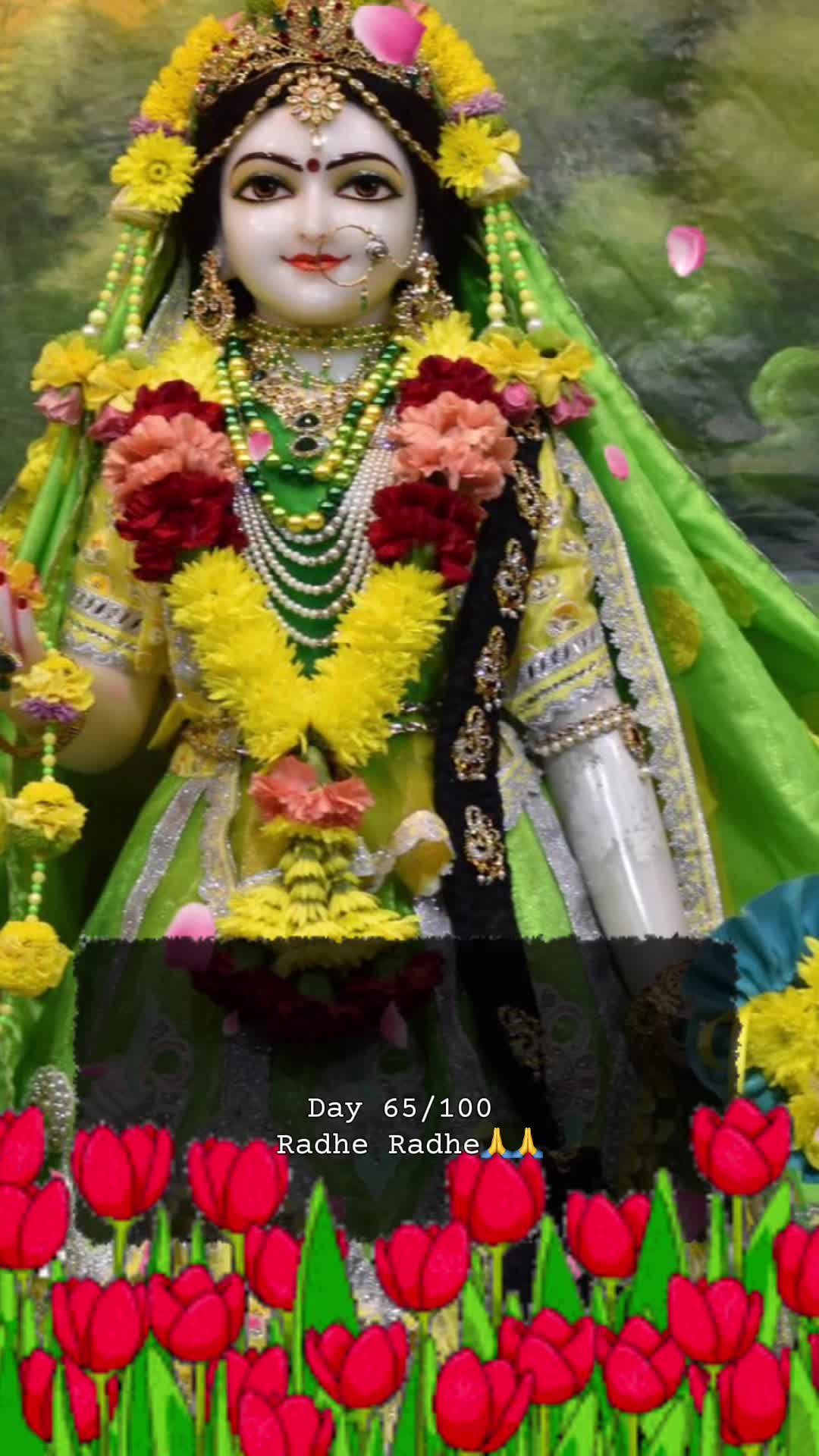 @RadheKrishna🦚🦚🙏🙏