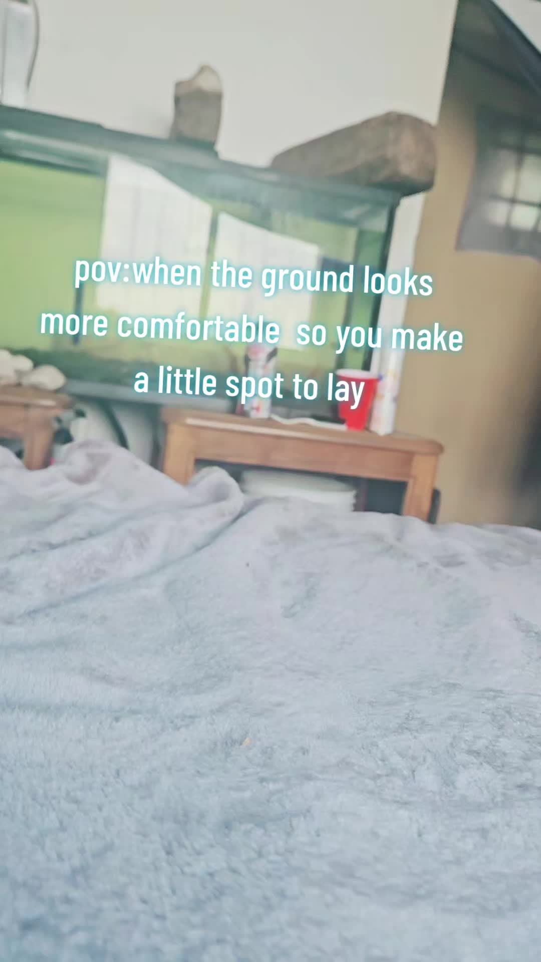@nonameyet705