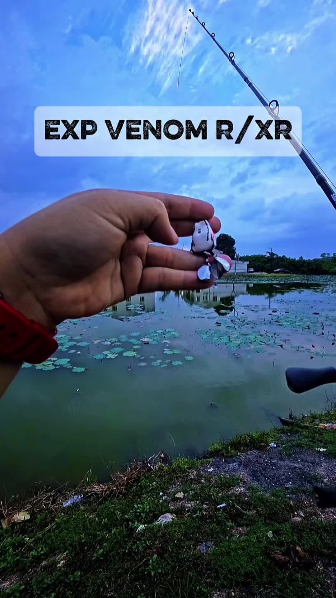 @Papa X Kumpau