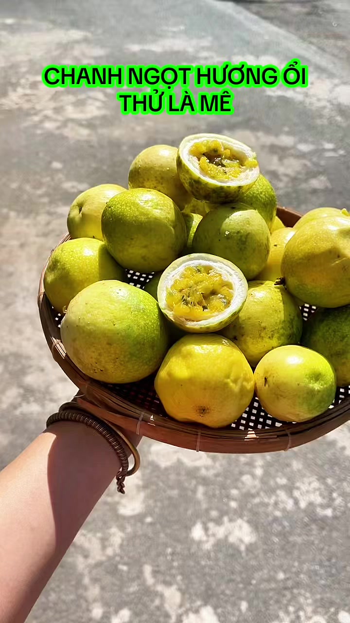 @nguyentuyet_79
