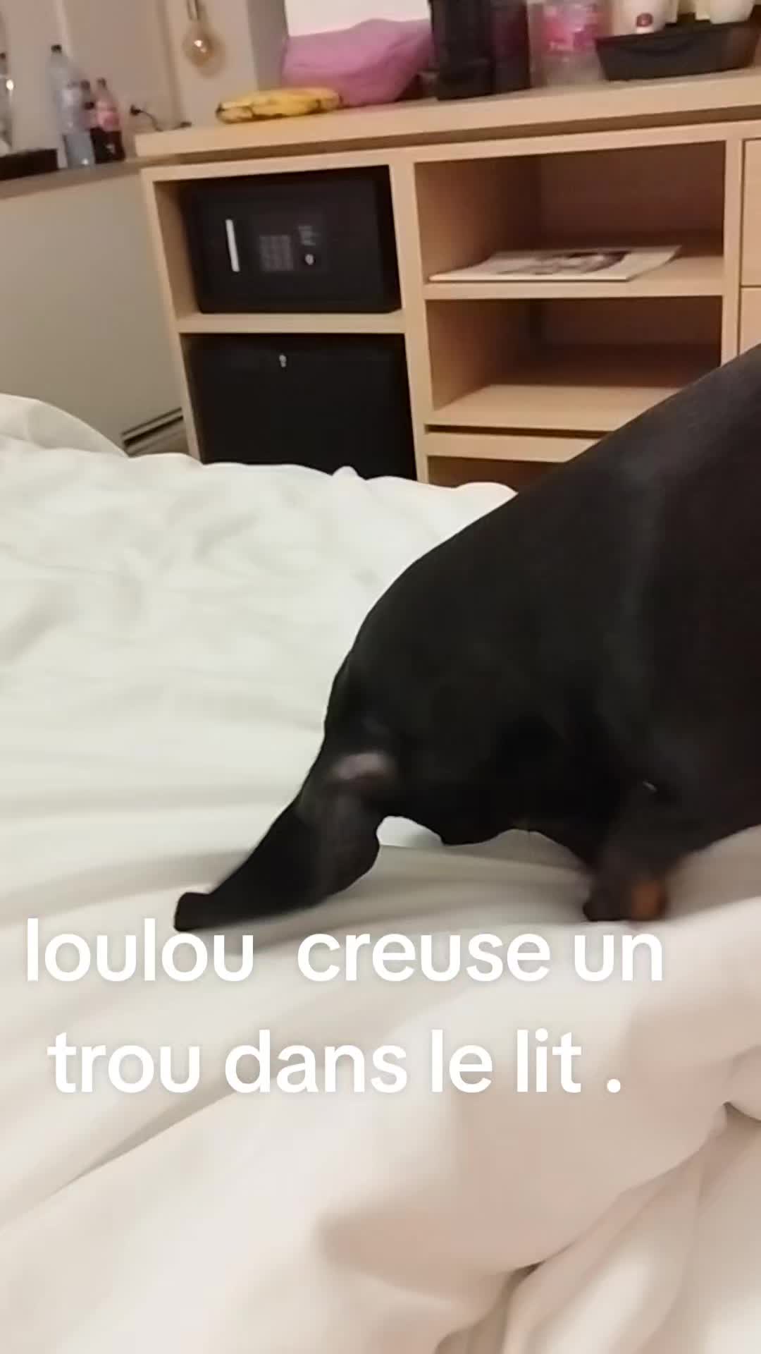 @Cathycat