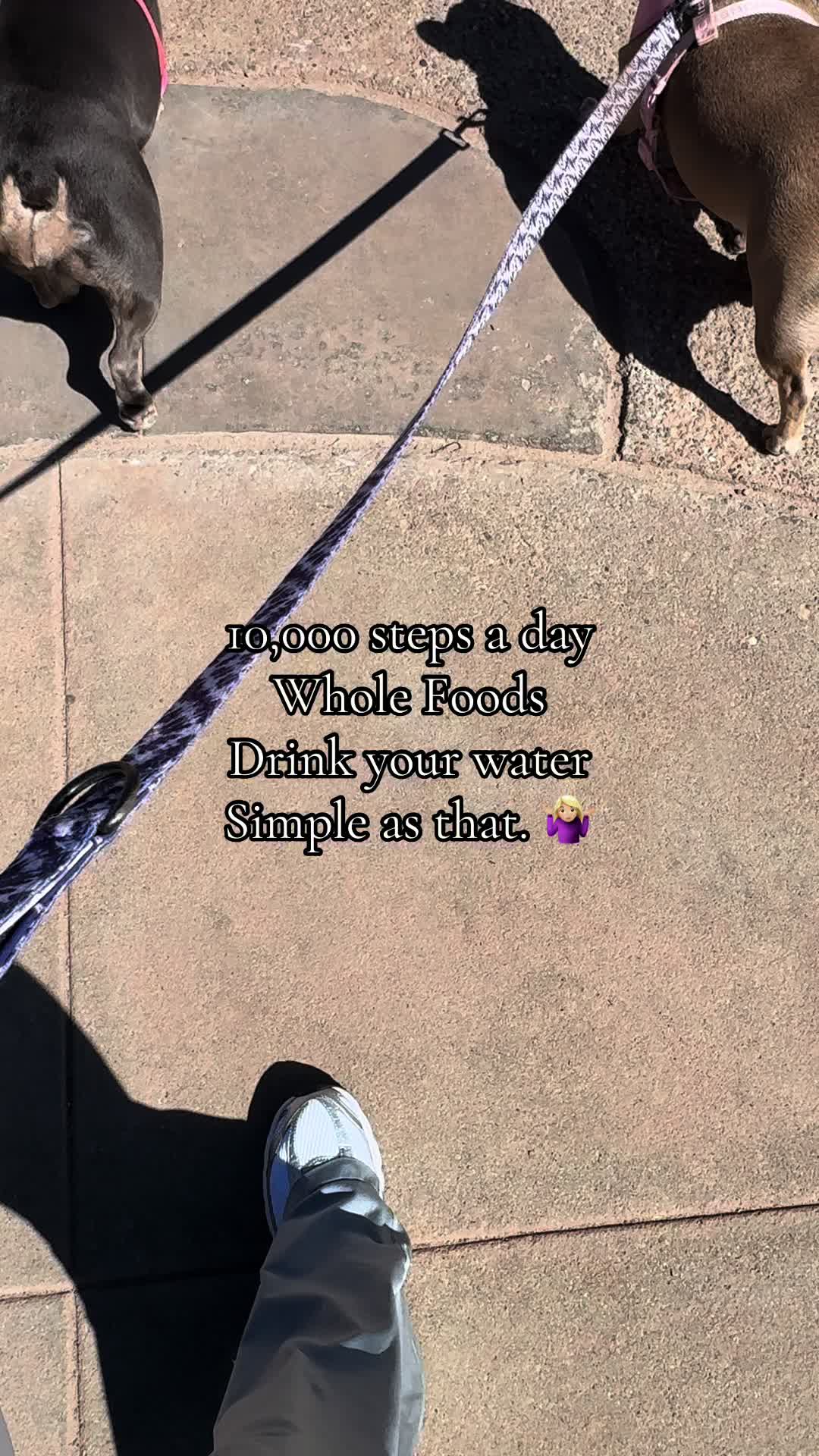 @ashleymcevers_