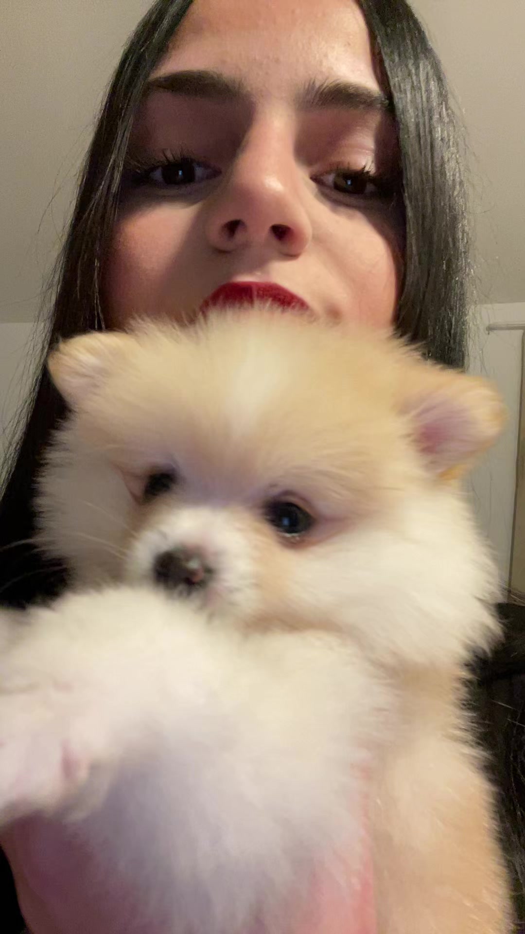 @𝐛𝐛𝐲𝐬𝐩𝐫𝐢𝐧𝐜𝐞𝐬𝐬