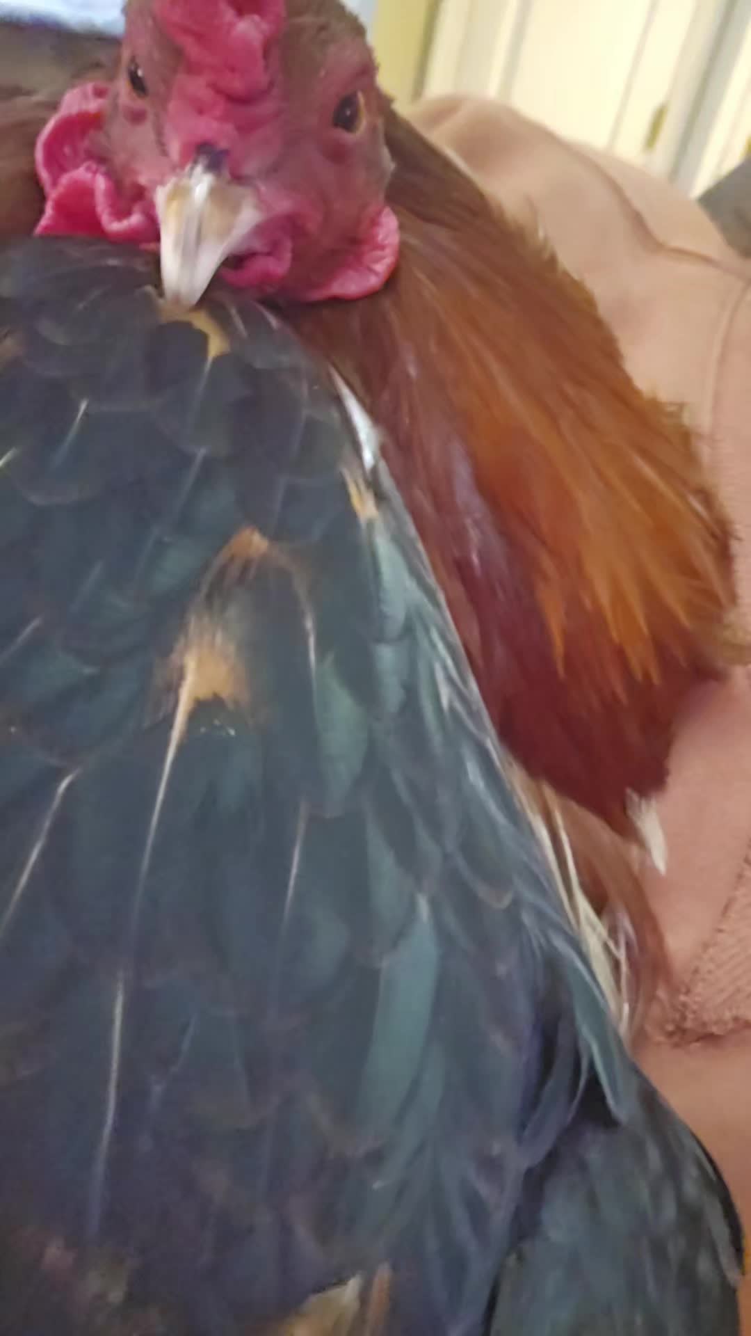 @ellieunderwood24